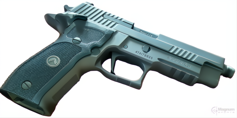 Load image into Gallery viewer, Sig Sauer P226 Legion Gray: Double Action
