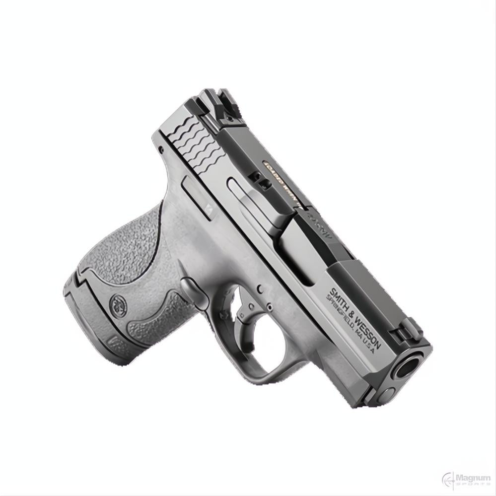 Smith &amp; Wesson M&amp;P40 Shield