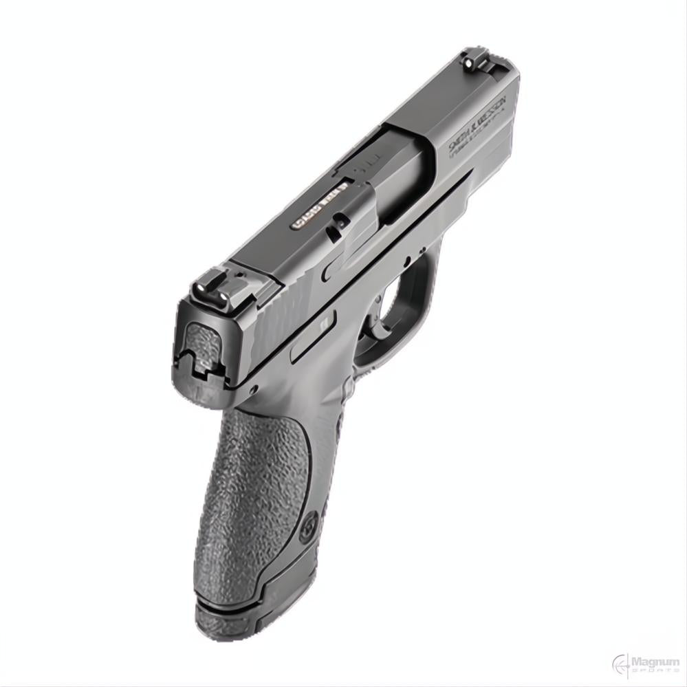Smith &amp; Wesson M&amp;P9 Shield