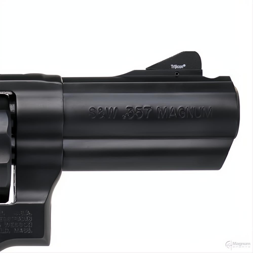 Smith &amp; Wesson Model 19 Carry Comp