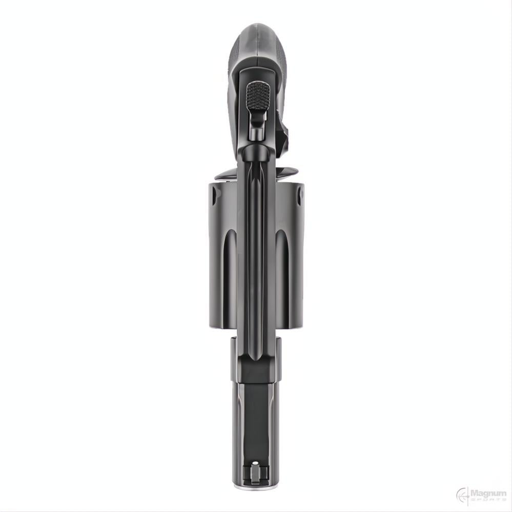 Smith &amp; Wesson Model Governor