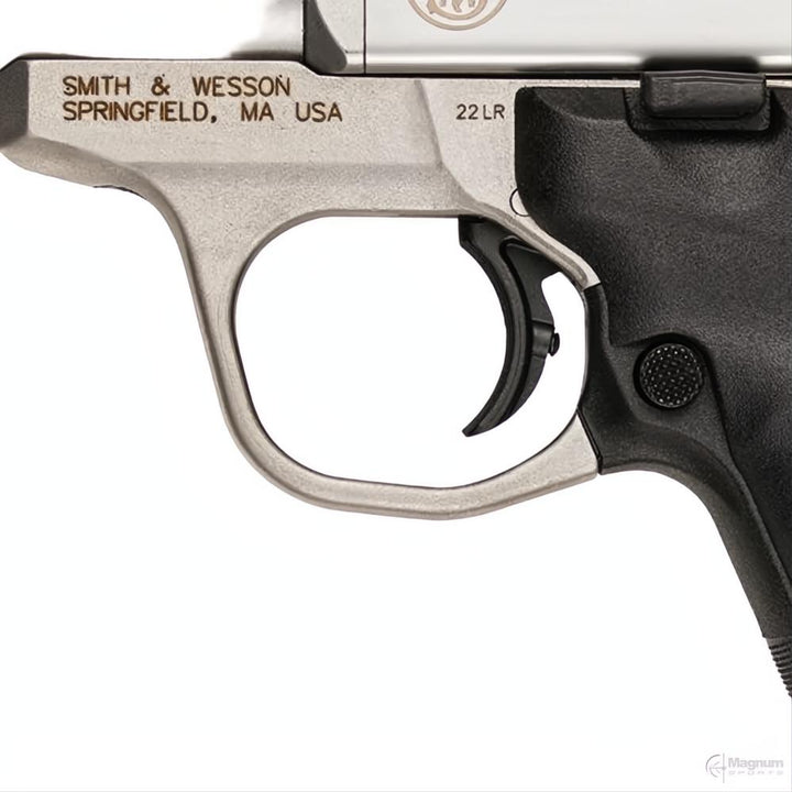 Smith &amp; Wesson SW22 Victory