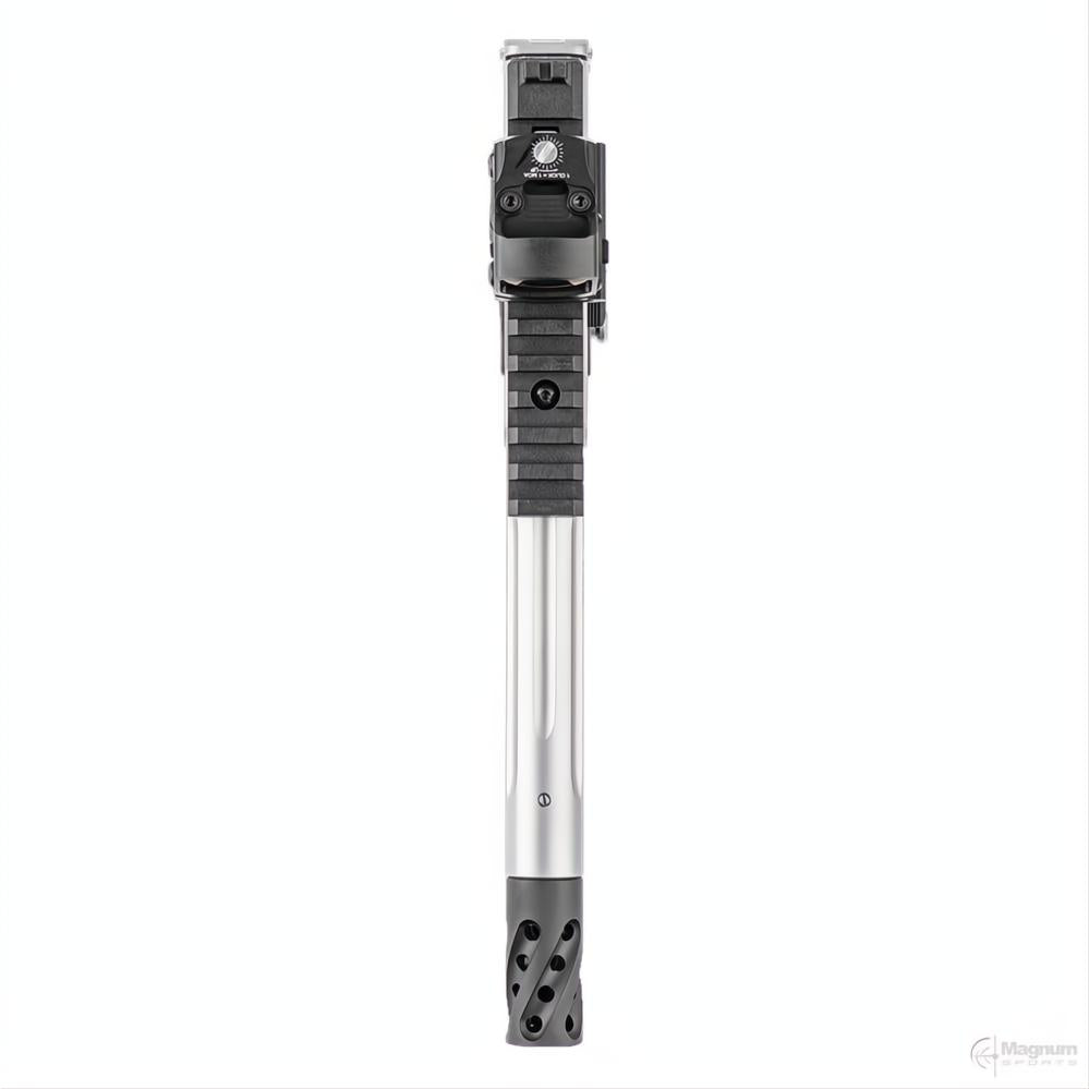 Smith & Wesson SW22 Victory Performance Center Red Dot