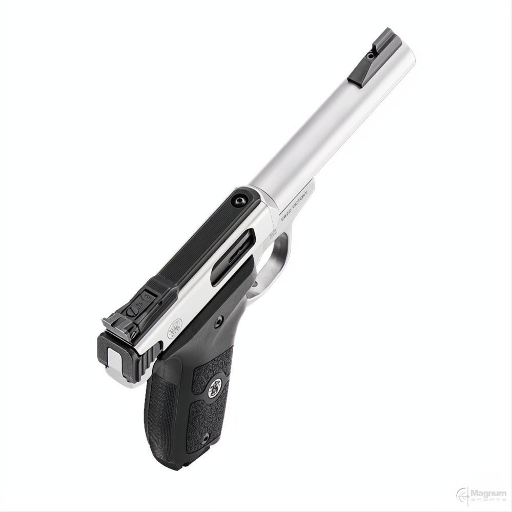 Smith & Wesson SW22 Victory Target