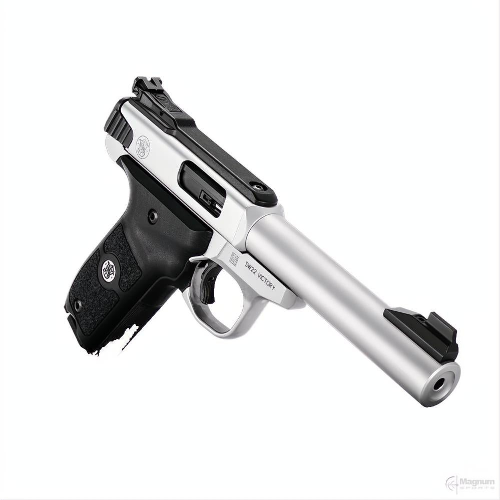 Smith &amp; Wesson SW22 Victory Target