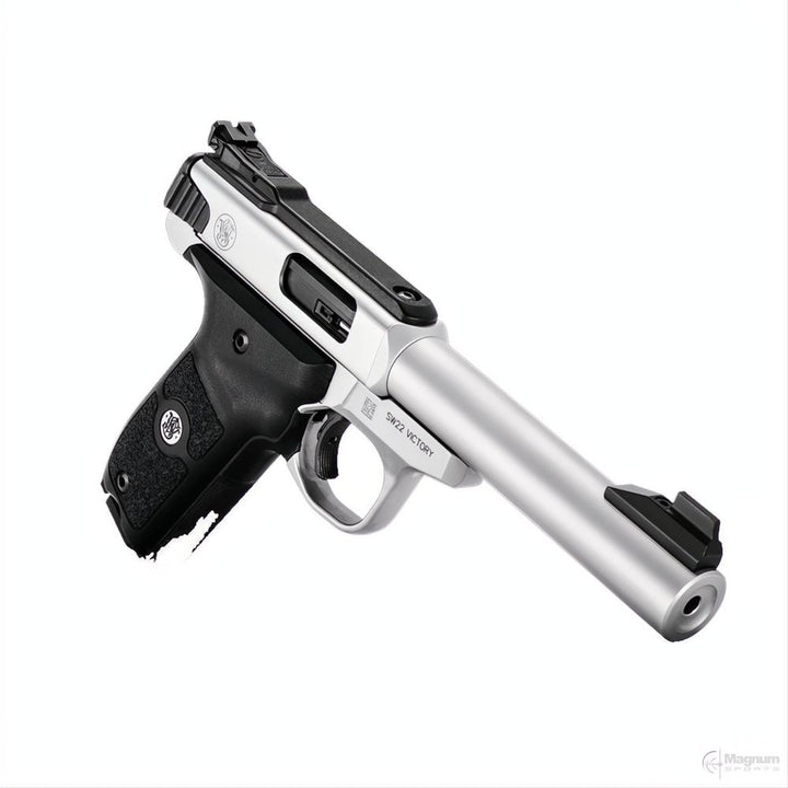 Smith &amp; Wesson SW22 Victory Target