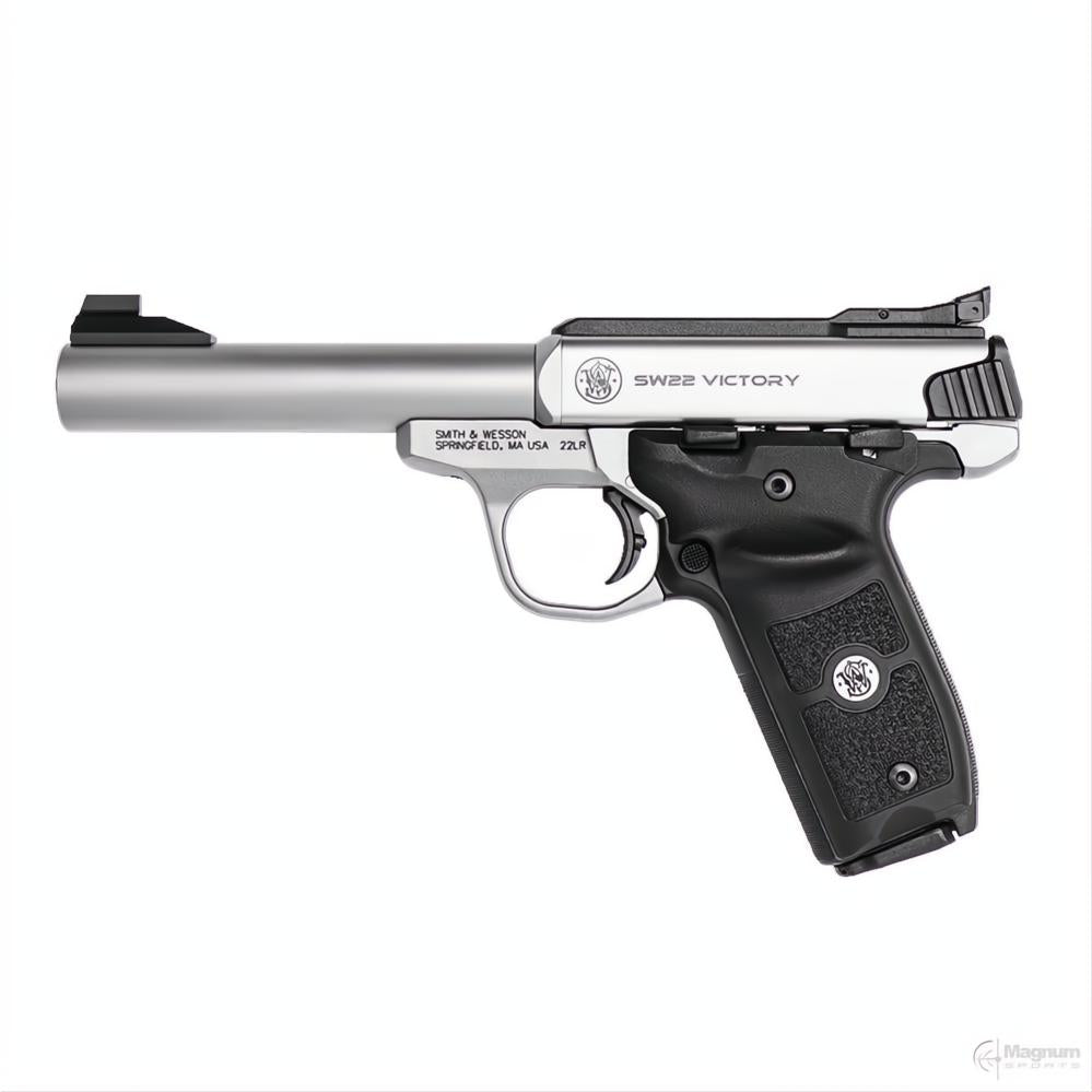 Smith & Wesson SW22 Victory Target