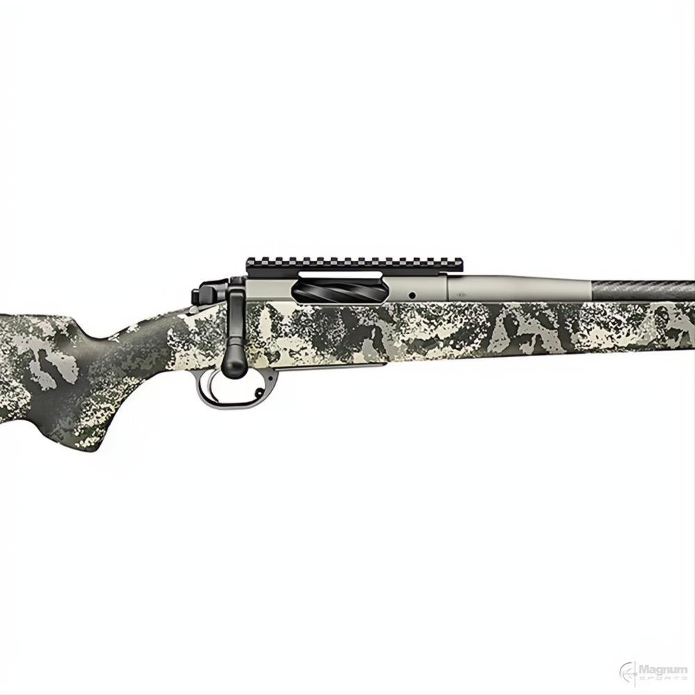 Springfield 2020 Boundary Carbon