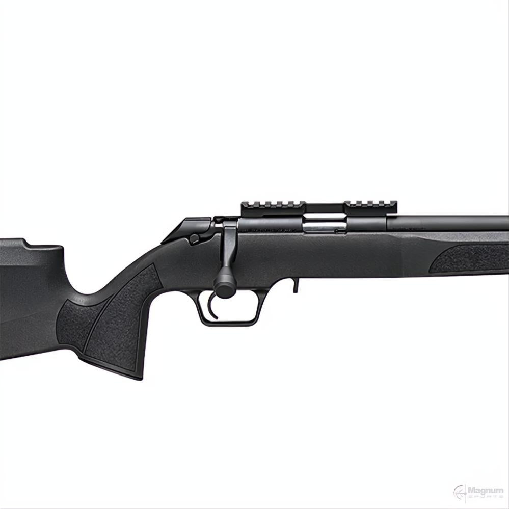 Springfield 2020 Rimfire Target Black