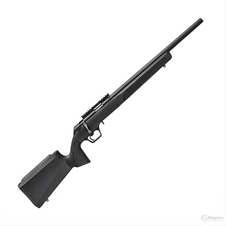 Springfield 2020 Rimfire Target Black