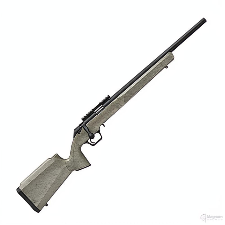 Springfield 2020 Rimfire Target Sage Web
