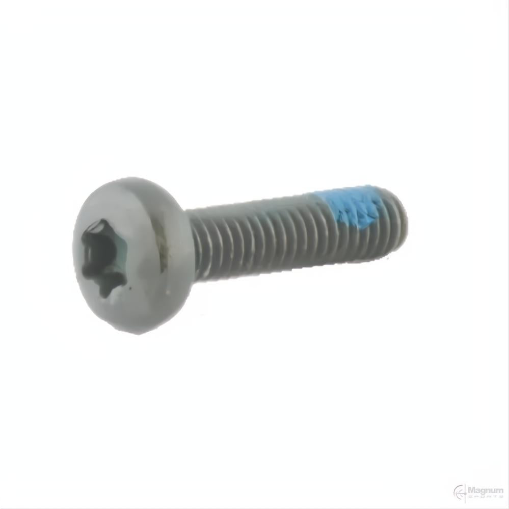 Spuhr 4-Pack Adjustment Screws