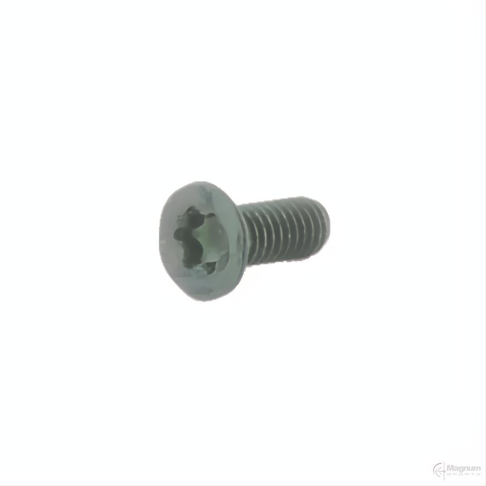 Spuhr M4x10 TX20 Accessory Screws (6 pack)