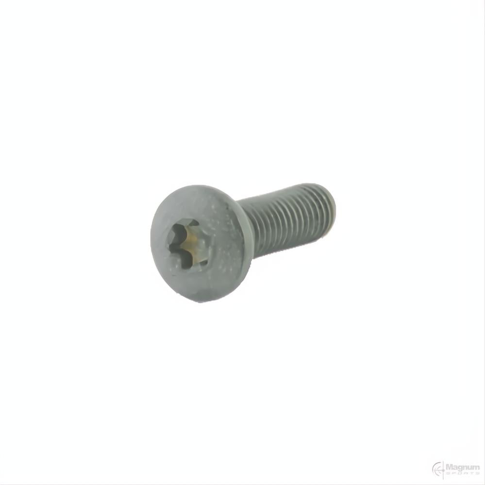 Spuhr M5x16 TX20 Clamping Screws (Pack of 4 Screws)