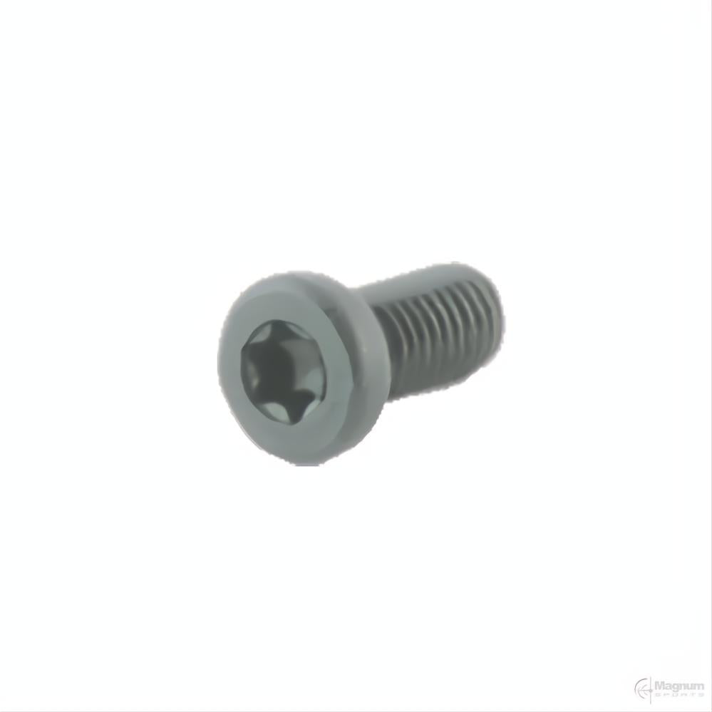 Spuhr Sauer Recoil Screw (Pack of 2 Screws)