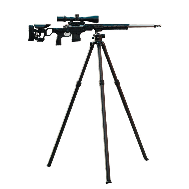 Telson Tripod and Ballhead Combo in use