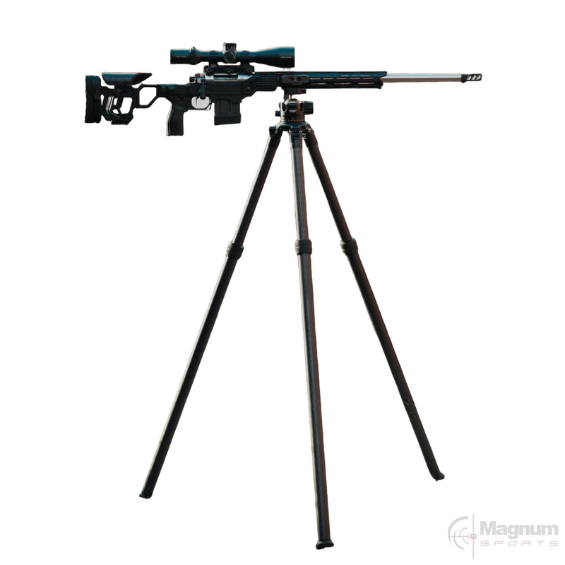 Telson Tripod and Ballhead Combo in use