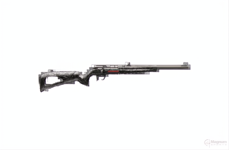 WINCHESTER XPERT