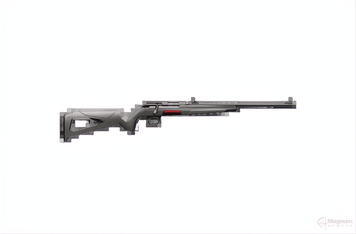 WINCHESTER XPERT