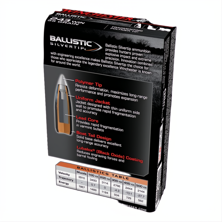 Winchester Ballistic ST 243Win 55gr PT