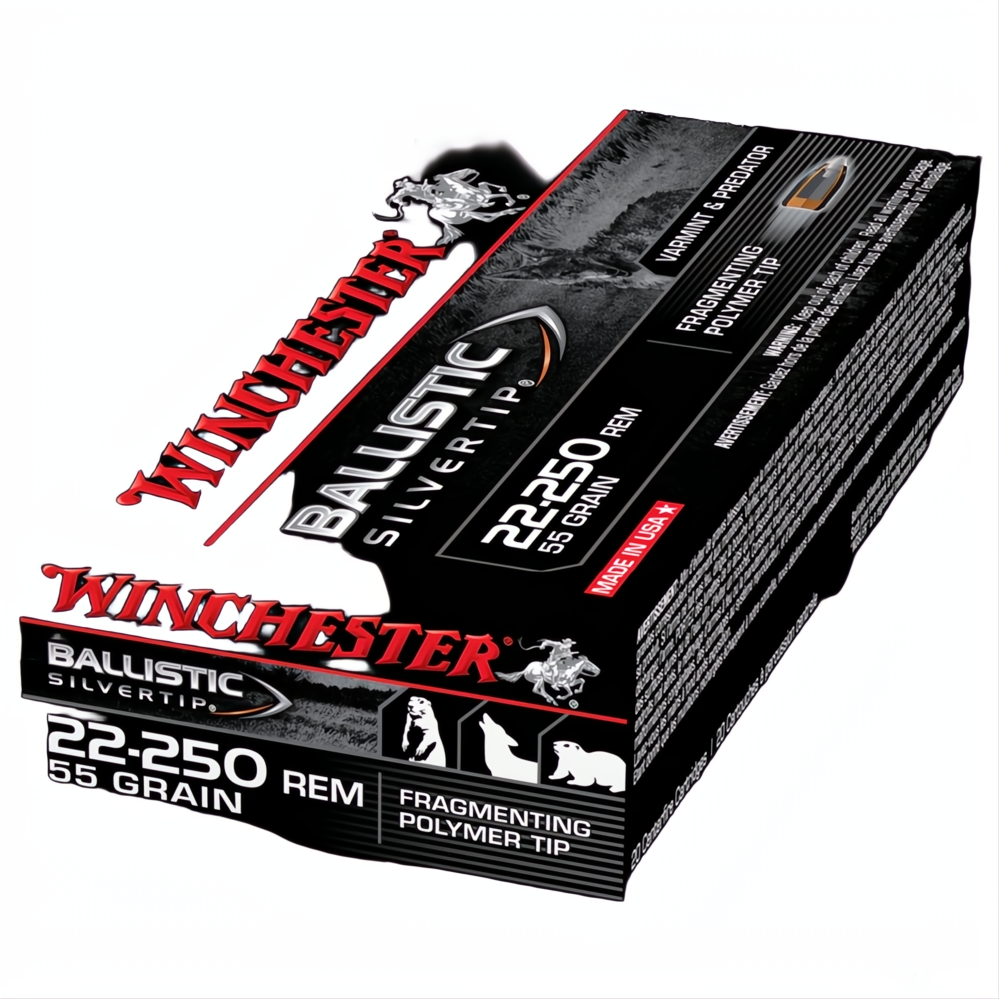 Winchester Ballistic St 22-250Rem 55gr PT