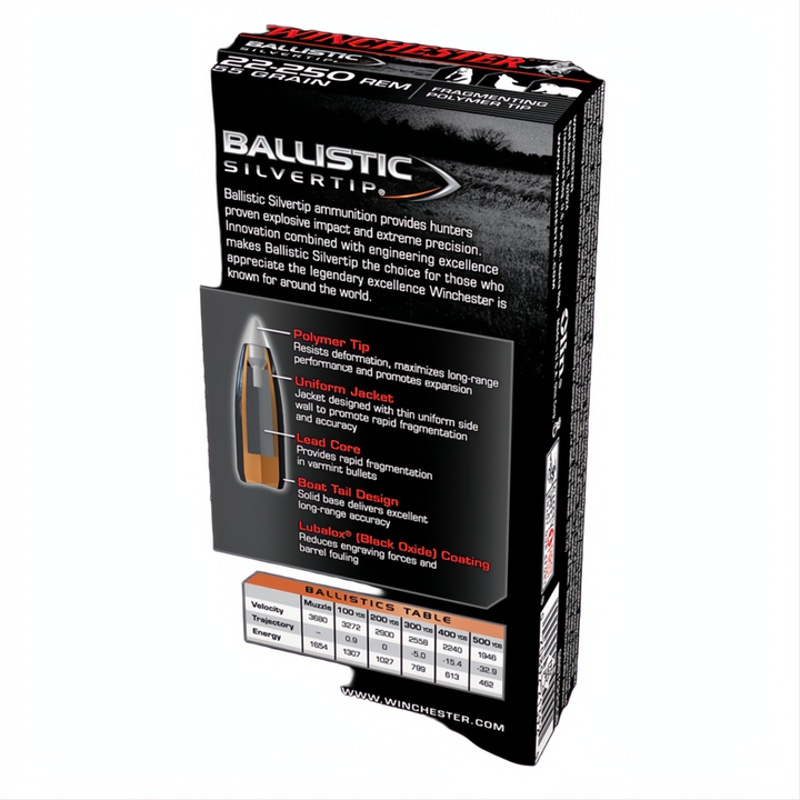 Winchester Ballistic St 22-250Rem 55gr PT