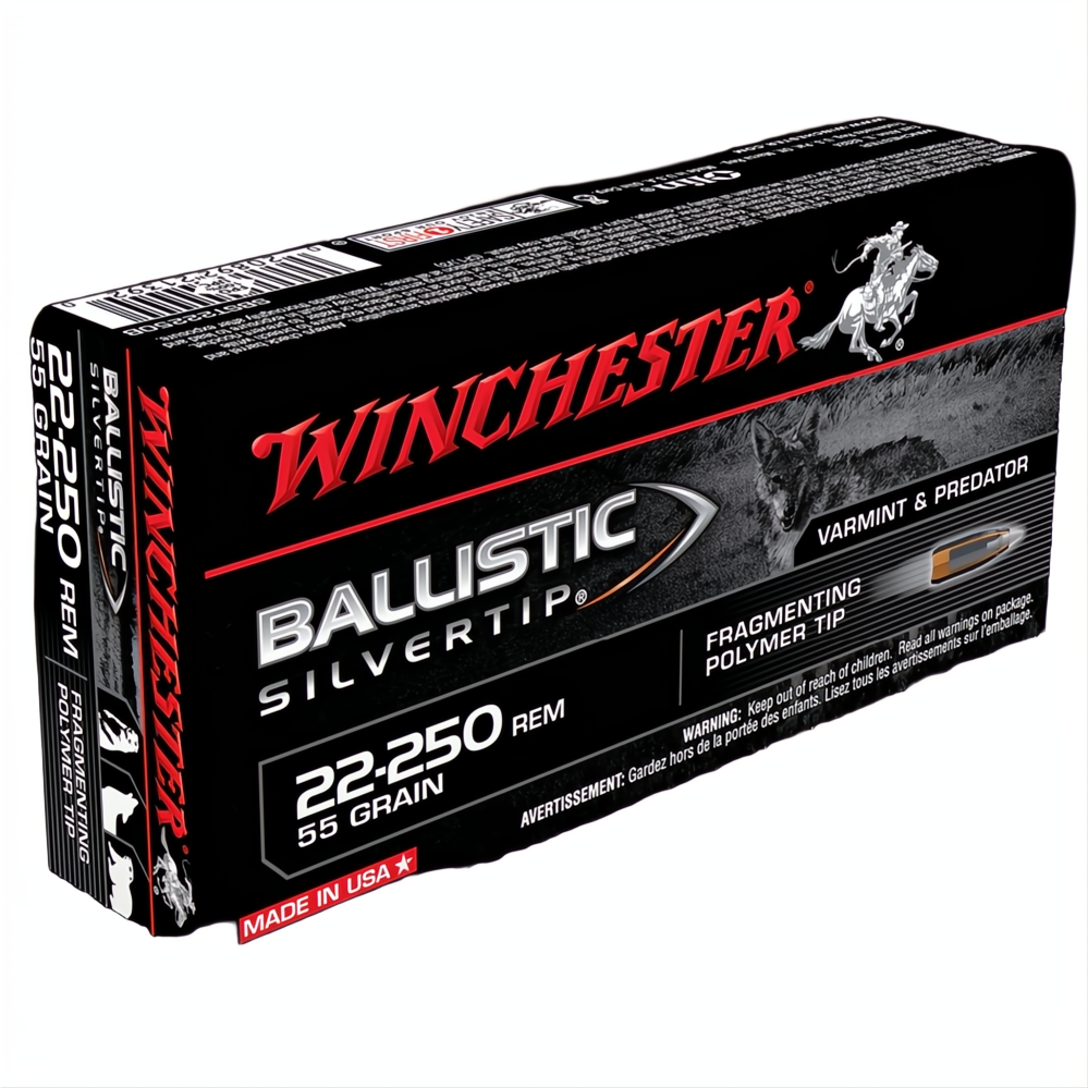 Winchester Ballistic St 22-250Rem 55gr PT