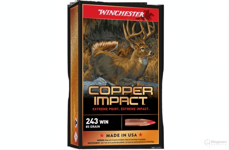Winchester Copper Impact LF 243Win 85gr Xp
