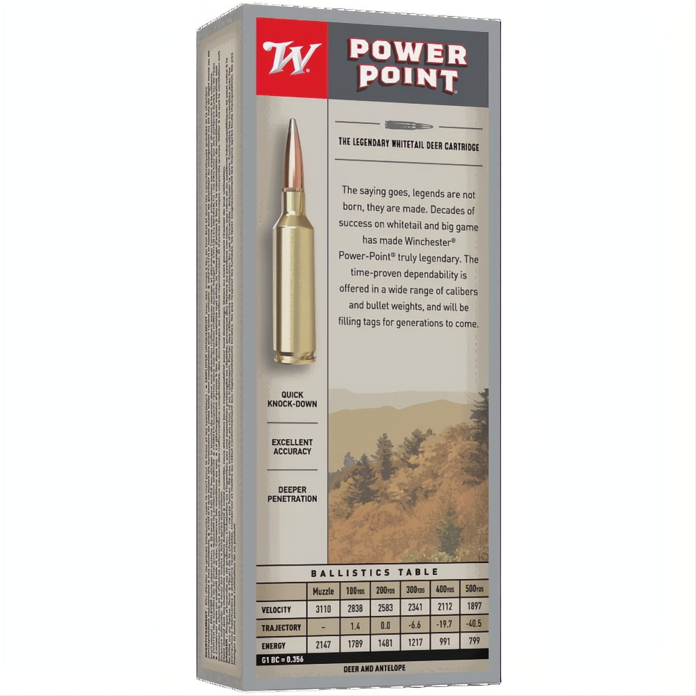 Winchester Power Point 243WSSM 100gr PP