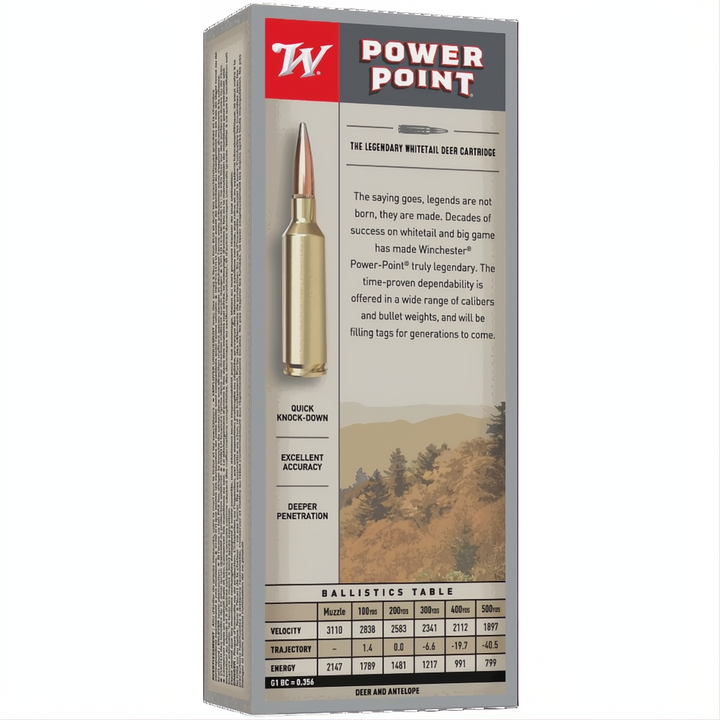 Winchester Power Point 243WSSM 100gr PP