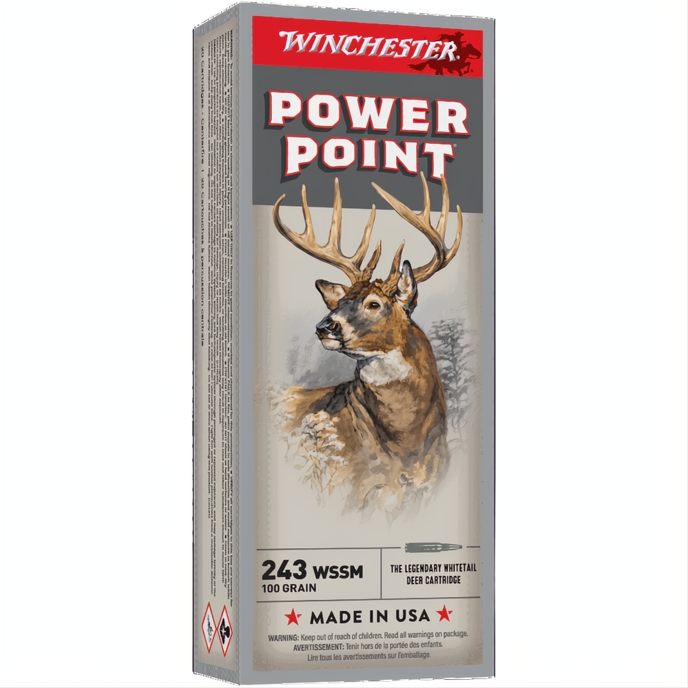 Winchester Power Point 243WSSM 100gr PP