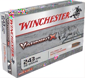 Winchester Varmint X 243Win 58gr PT
