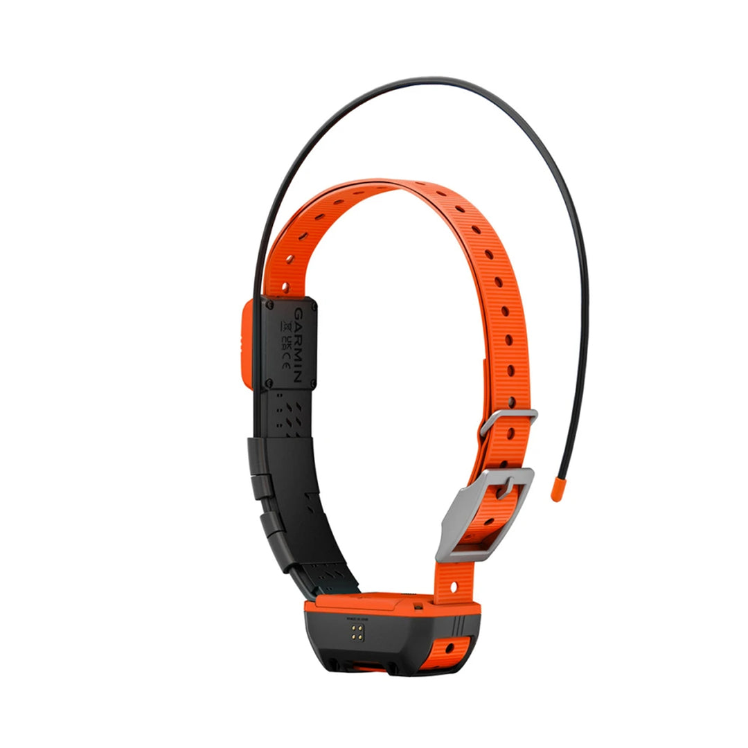 Alpha T20 Gps Collar