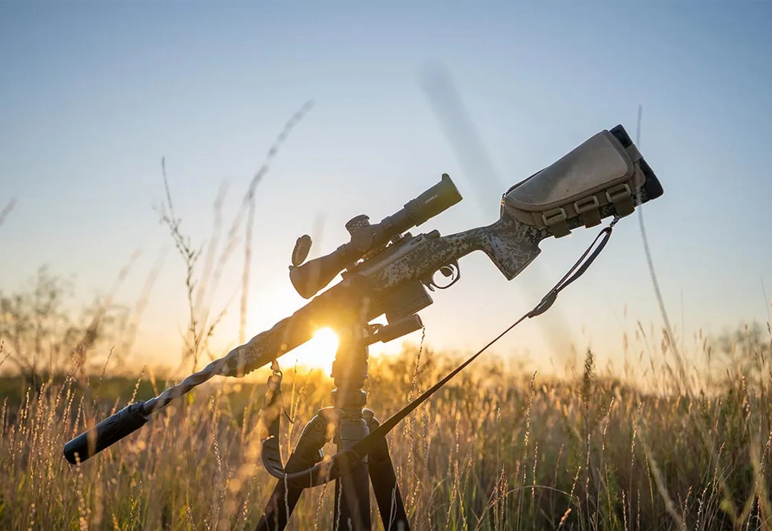 Horizon Firearms Vandal X 22 Creedmoor.