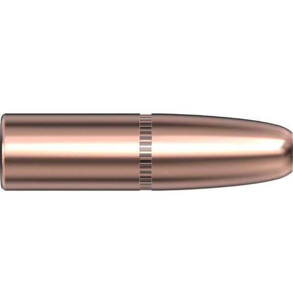 Hornady 9.3 CAL .366 300 GR DGS - Hornady
