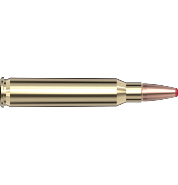 Hornady Ammo 223 REM 50 GR ECX - Hornady