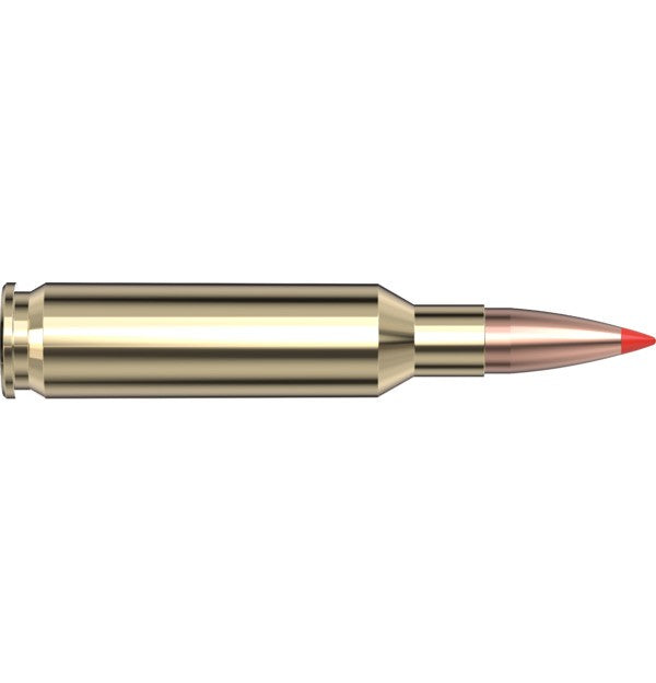 Hornady Ammo 6.5 Creedmoor 95 GR V-max - Hornady