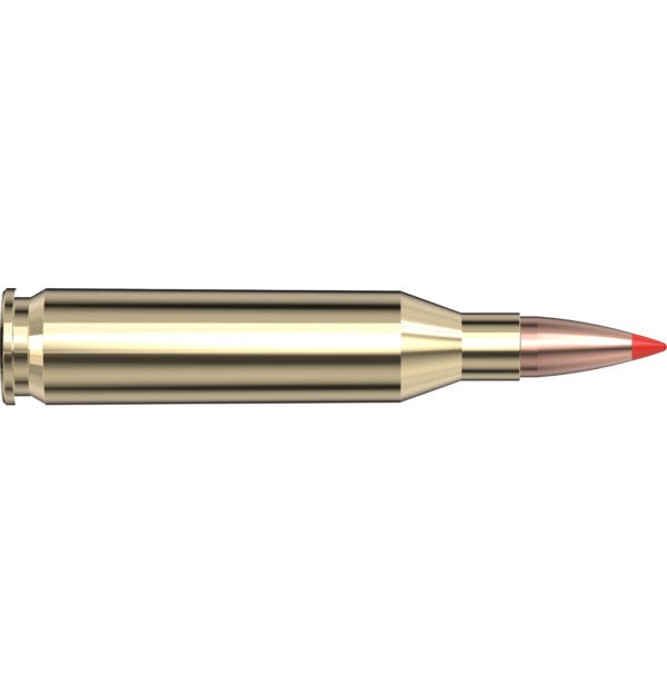 Hornady Ammo 243 WIN 87 GR V-max® - Hornady