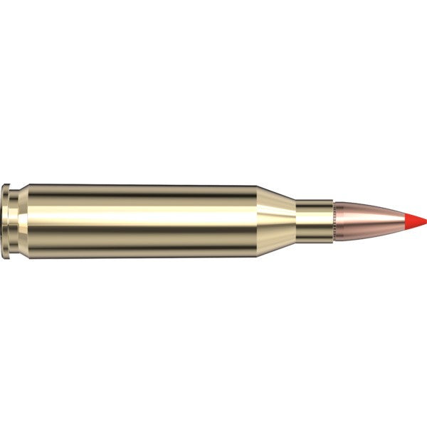 Hornady Ammo 243 WIN 95 GR SST AWT (20) - Hornady
