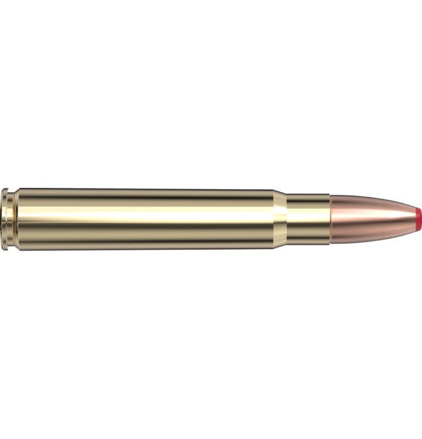 Hornady Ammo 9.3X62 250 GR ECX - Hornady