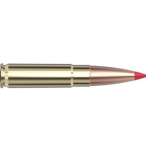 Hornady Ammo 300 Blackout 110 GR CX - Hornady