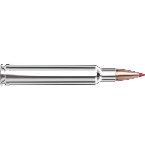 Hornady Ammo 300 WBY MAG 180 GR CX OTF - Hornady