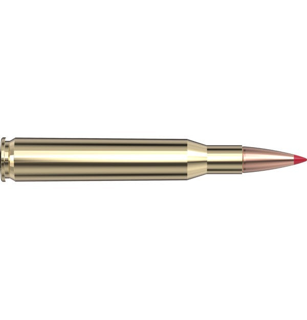 Hornady Ammo 270 WIN 130 GR CX SPF - Hornady