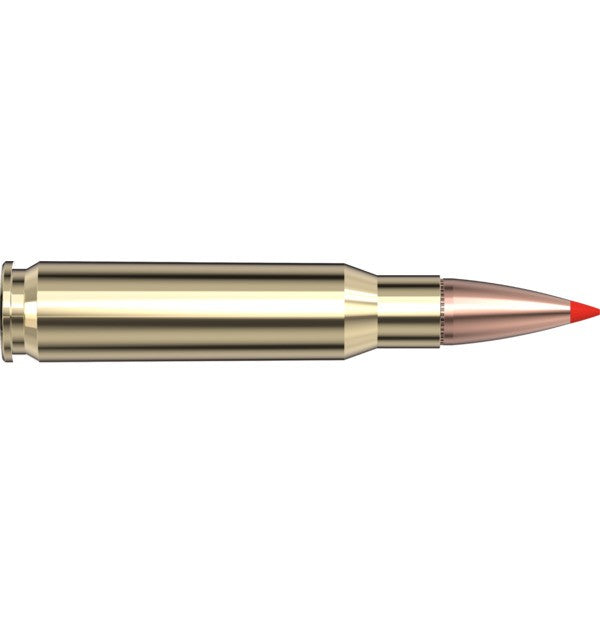 Hornady Ammo 308 WIN 180 GR SST SPF (20) - Hornady