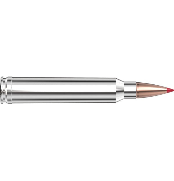 Hornady Ammo 300 WIN MAG 180 GR CX OTF - Hornady